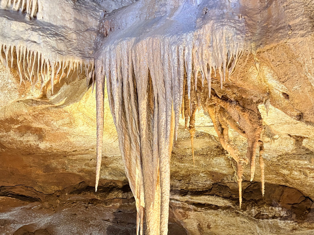 Grottes de Lacave-Lacave必去景点