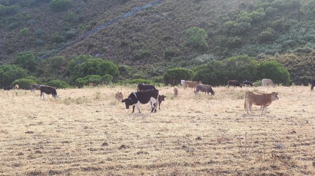 米拉蒙蒂乡村旅游酒店-旅行者