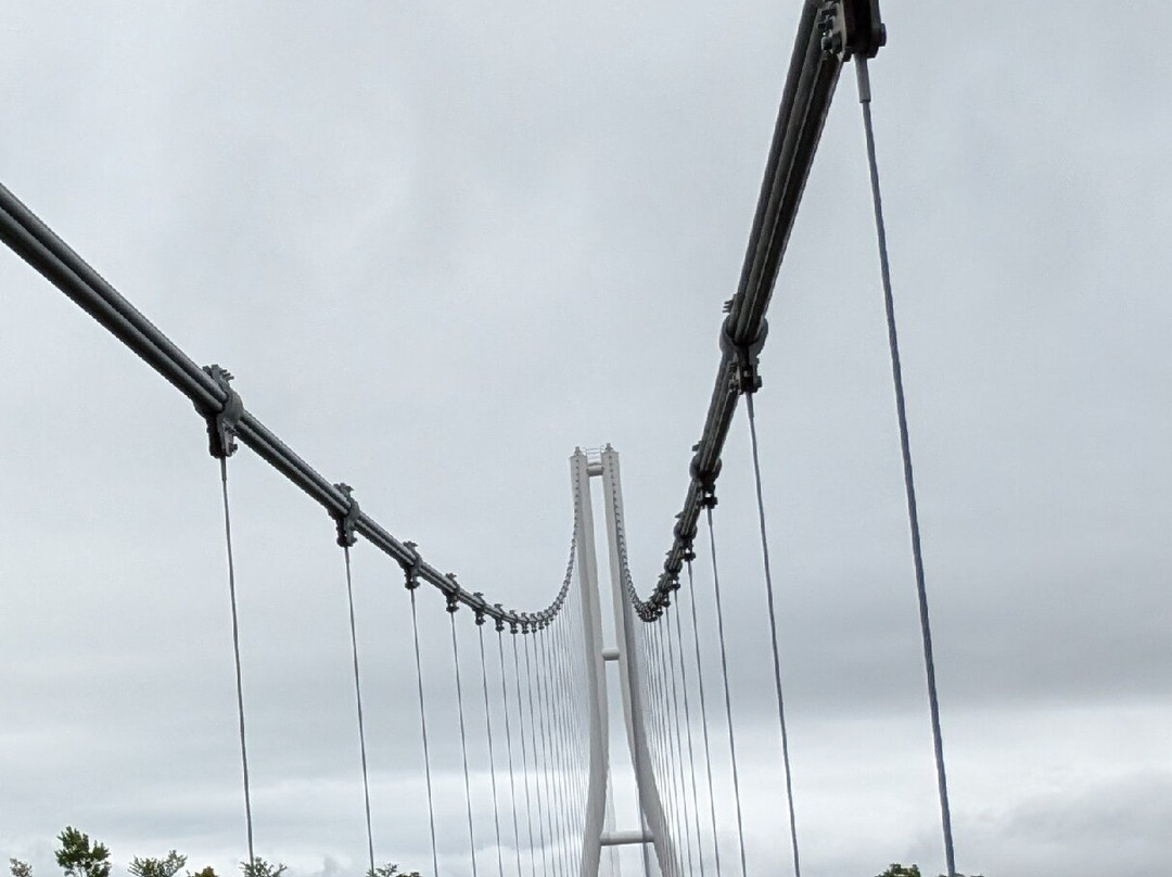 Mishima Skywalk-三岛市必去景点
