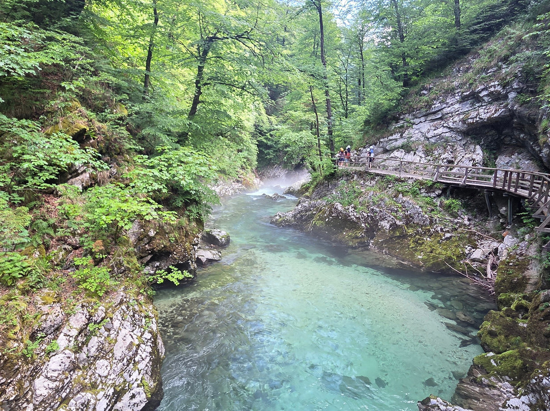 文特加峡谷（Soteska Vintgar）-Zgornje Gorje必去景点