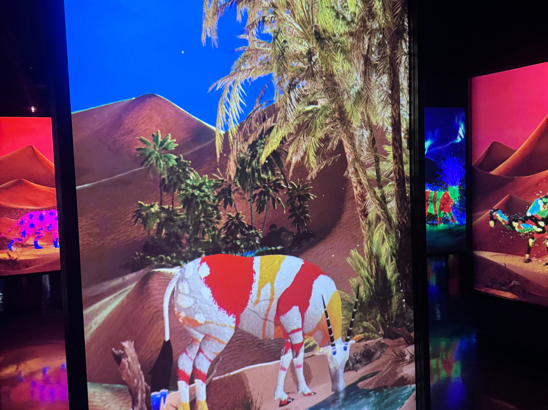 ARTE MUSEUM DUBAI-迪拜必去景点