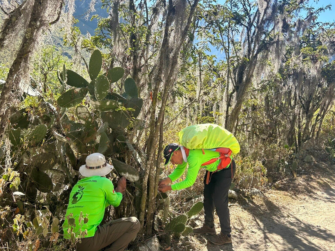Alpaca Expeditions-库斯科必去景点