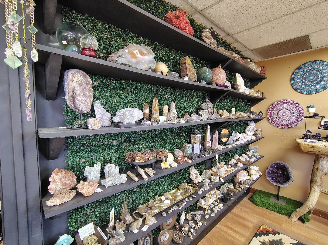 Cactus Joe's Blue Diamond Nursery-拉斯维加斯必去景点