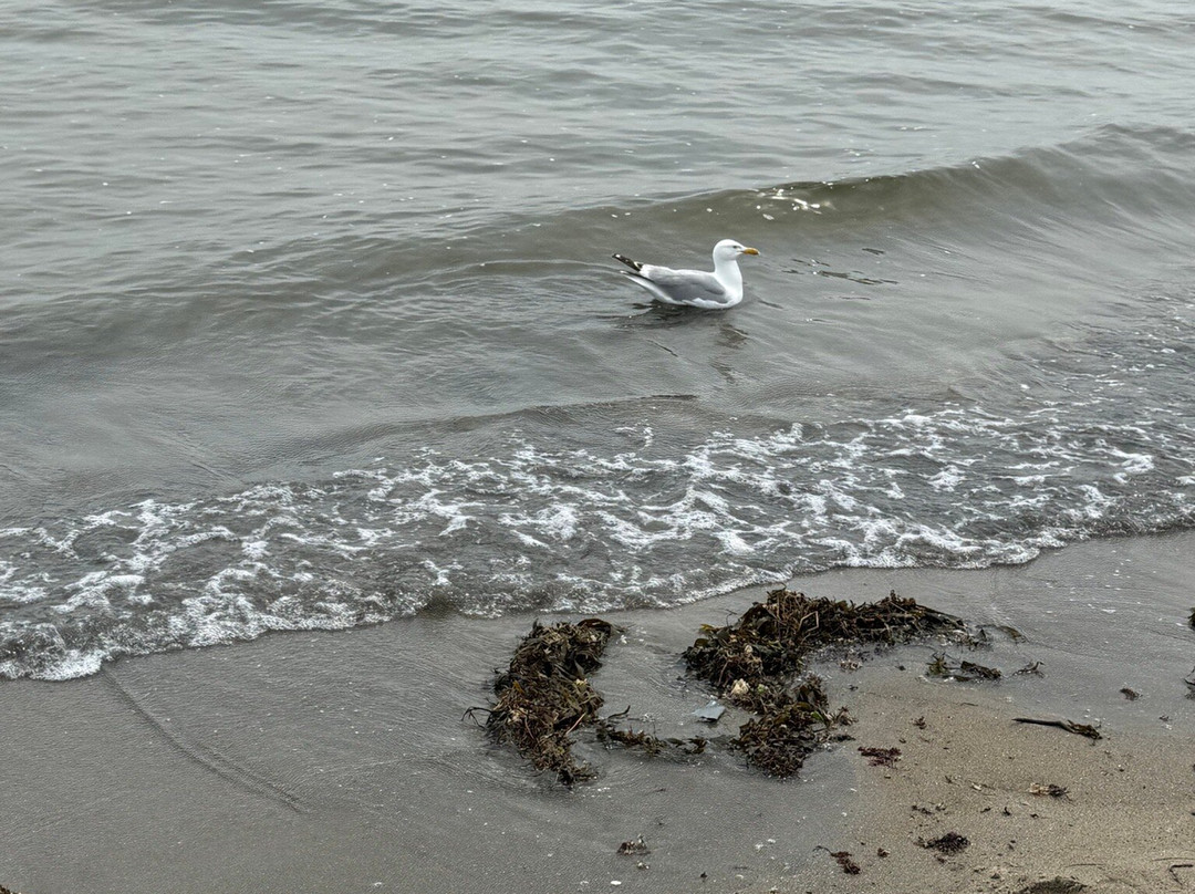 Popham Beach State Park-Phippsburg必去景点