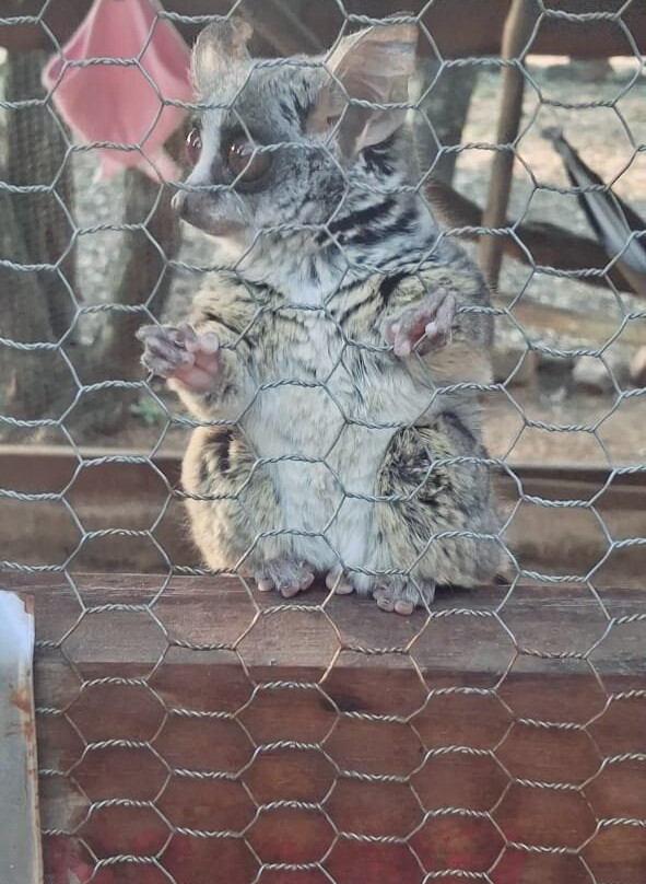 Sondela Nature Reserve Accommodation主图