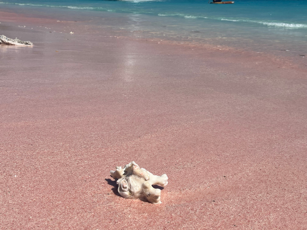 Pink Beach-科莫多必去景点