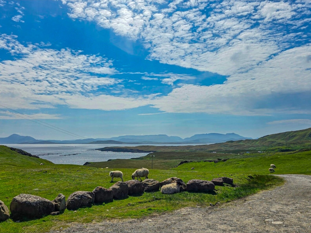 Clare Island-County Mayo必去景点