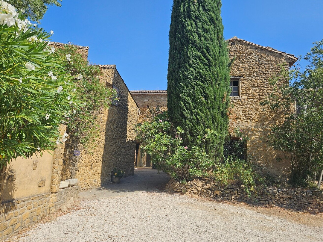 Domaine de la Pigeade-Beaumes-de-Venise必去景点