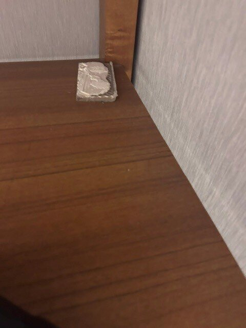 印第安纳州布卢明顿凯悦嘉轩酒店主图