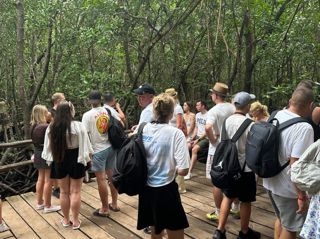 Jozani Chwaka Bay National Park-桑给巴尔岛必去景点
