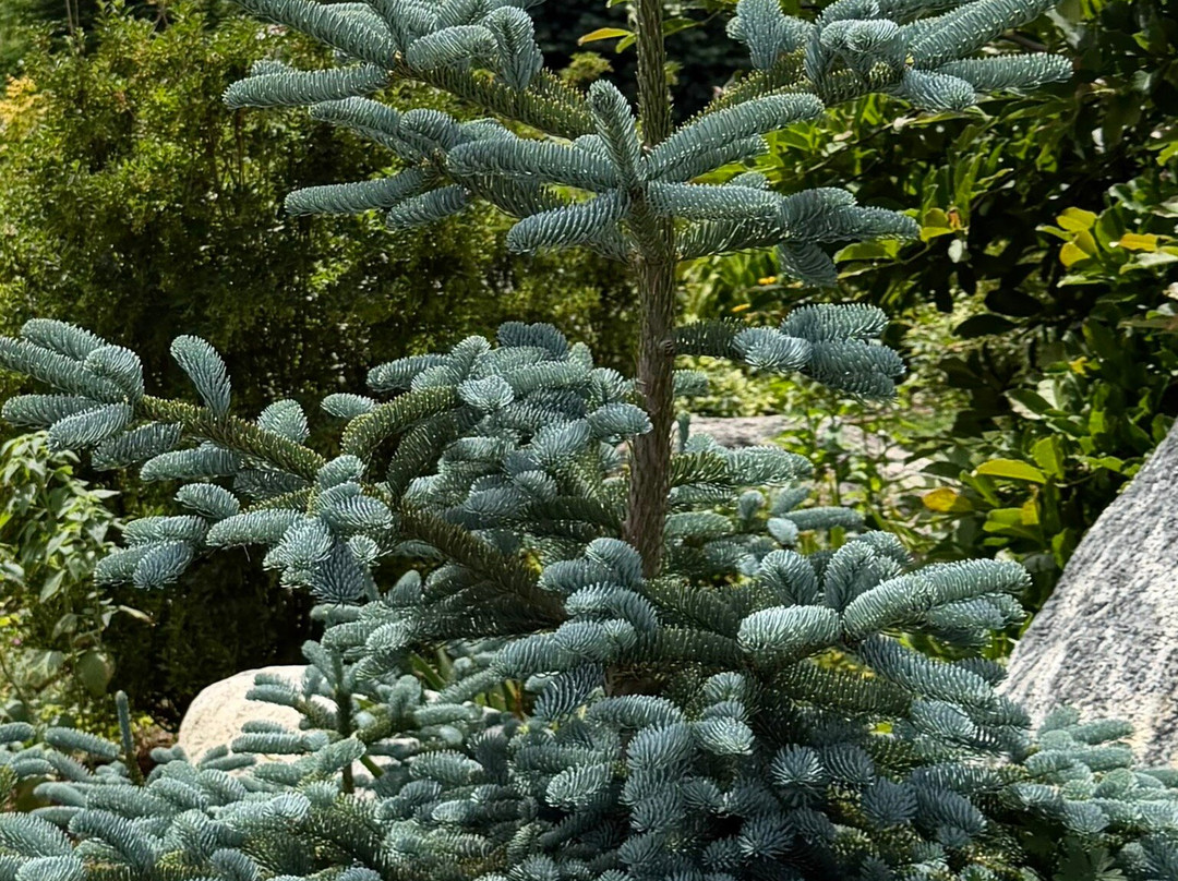 Coastal Maine Botanical Gardens-Boothbay必去景点
