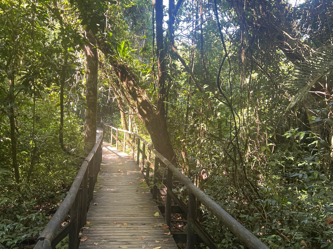 Parque Nacional Manuel Antonio-哥斯达黎加安东尼奥国家公园必去景点