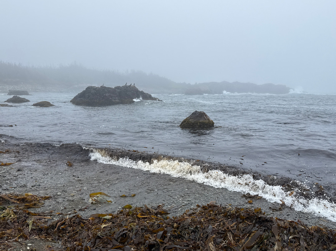 Louisbourg Lighthouse Coastal Trail-Louisbourg必去景点