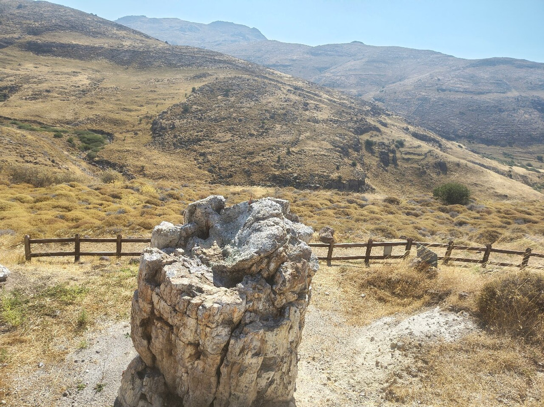 Petrified Forest of Lesbos-Sigri必去景点