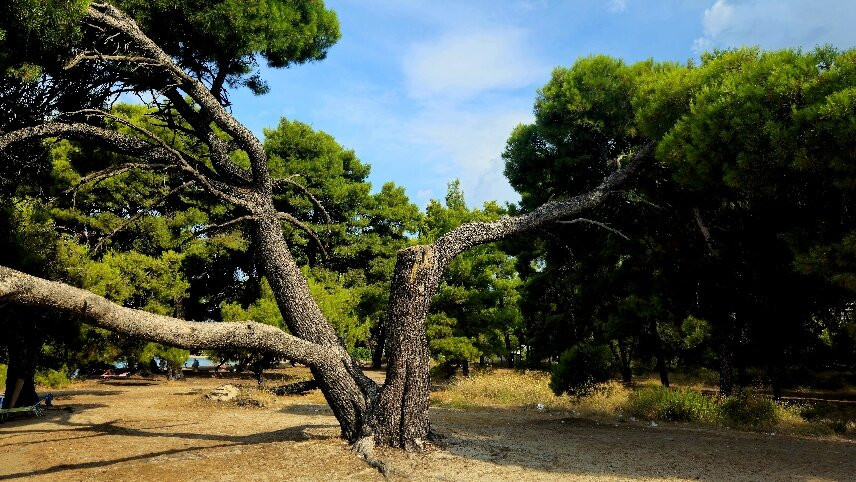 Lagomandra beach-Neos Marmaras必去景点
