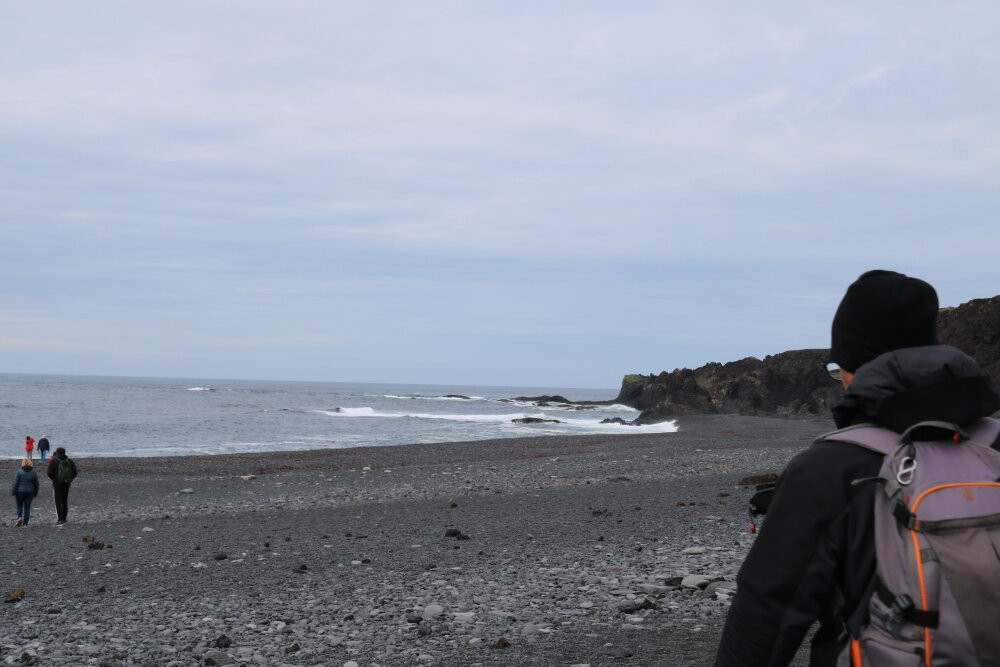 Djupalonssandur Beach-Hellnar必去景点