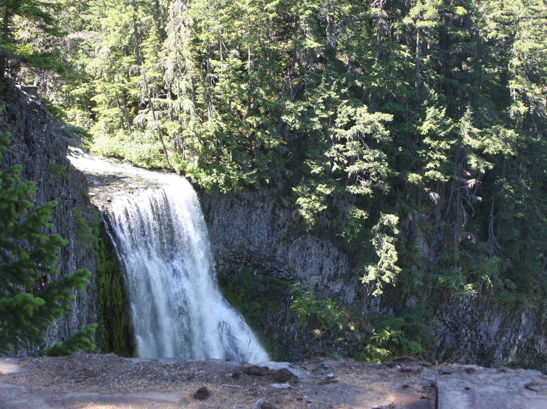 Salt Creek Falls-Oakridge必去景点