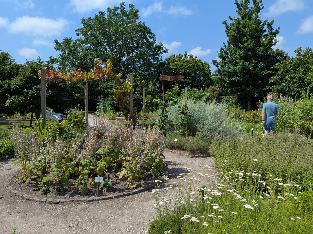 De Kruidhof Hortus van Friesland-Buitenpost必去景点