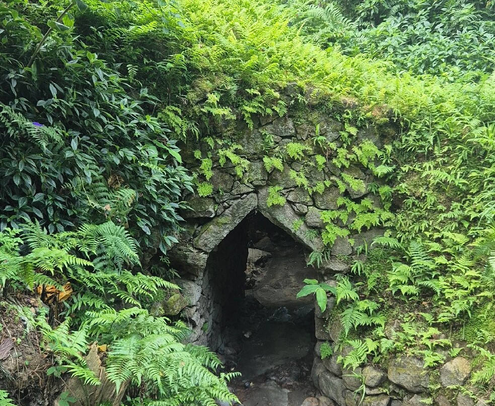 Green Corner Tours-Faja de Baixo必去景点