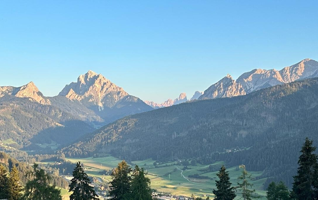 Hotel Alpen Tesitin主图