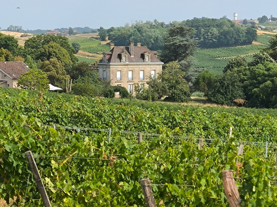 Château Du Broustaret主图