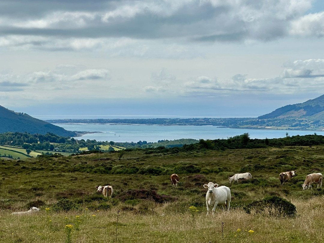 Walking Holiday Ireland-Dundalk必去景点