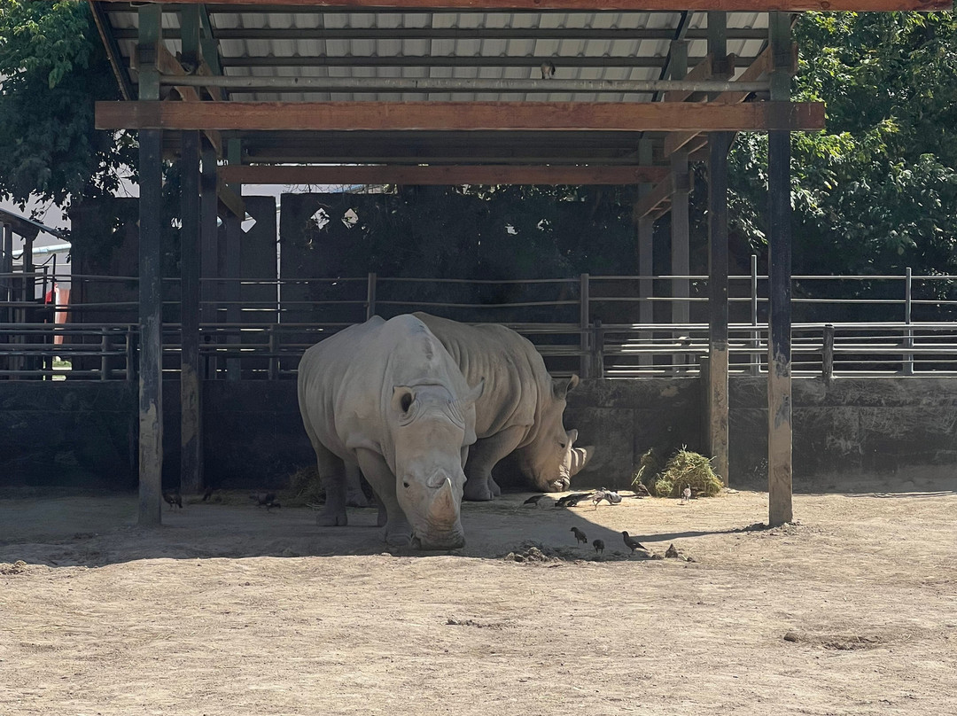 Almaty Zoo-阿拉木图必去景点