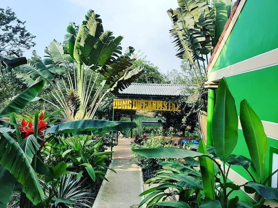 Dong Du Valley-Nghia Thuan必去景点