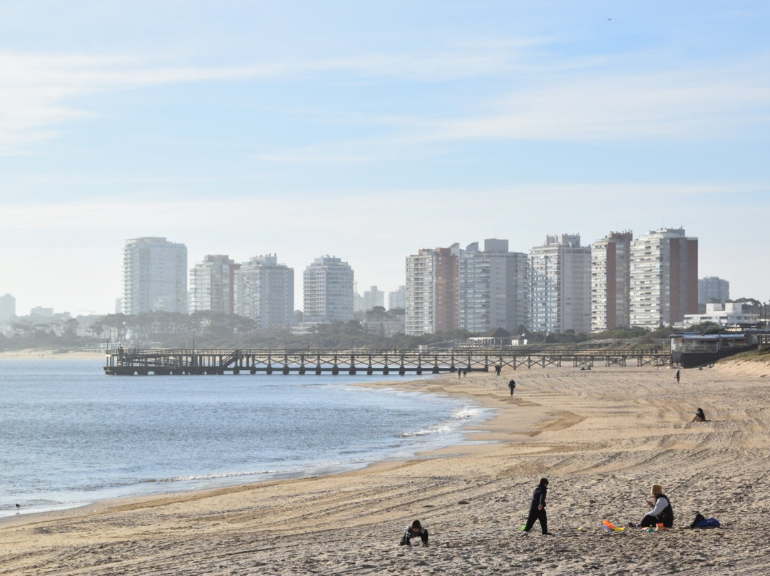 Playa Punta Ballena-Punta Ballena必去景点