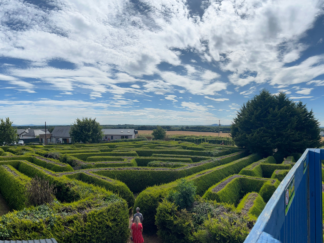 The Kildare Maze-Prosperous必去景点