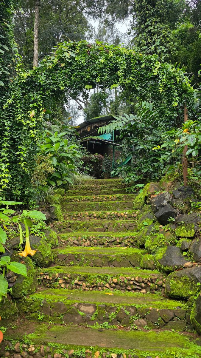 Coffeebean Home Stay Chikmagalur-旅行者