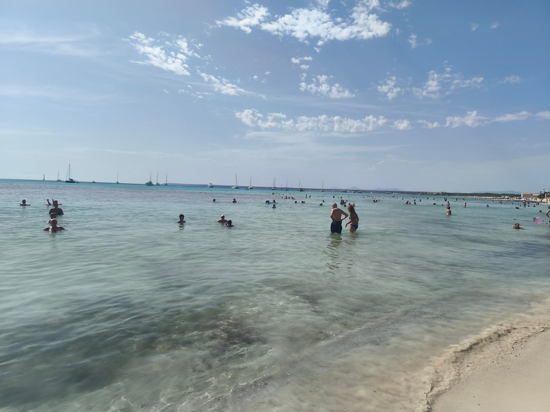 Platja d'es Trenc-Campos必去景点