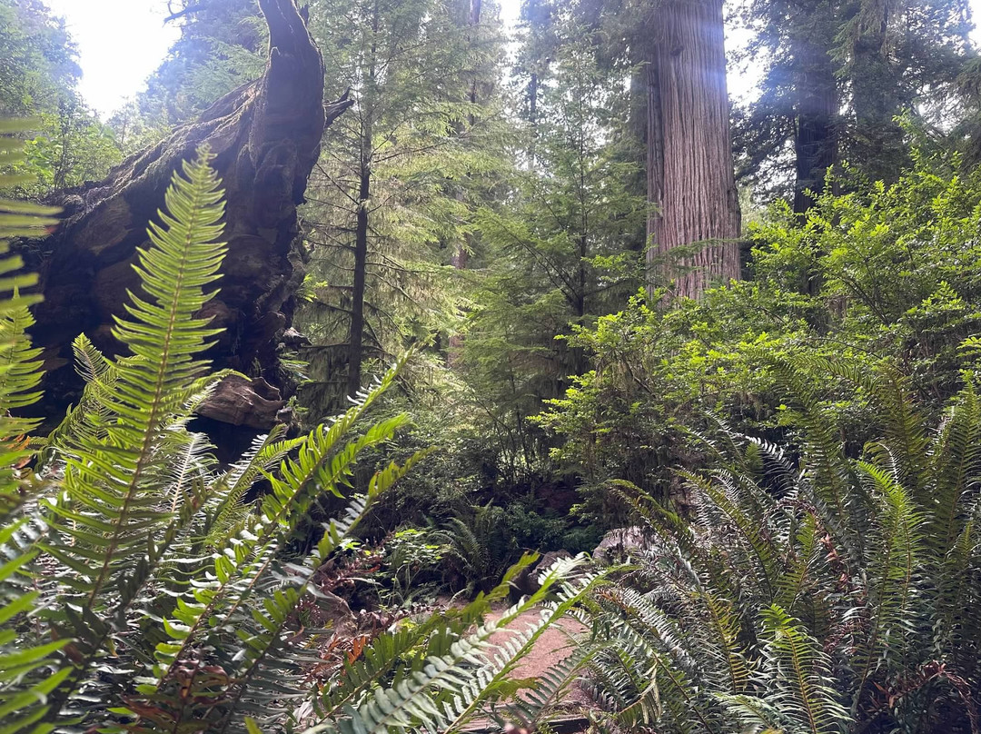 Simpson-Reed Trail-克雷森特城必去景点