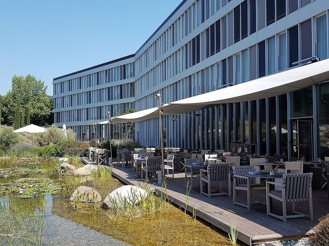 Corsier-sur-Vevey酒店住宿-Modern Times Hotel, Vevey, a Tribute Portfolio Hotel