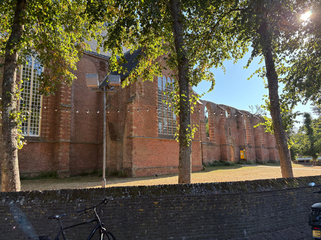 De Ruinekerk van Bergen uit 1597-Bergen必去景点