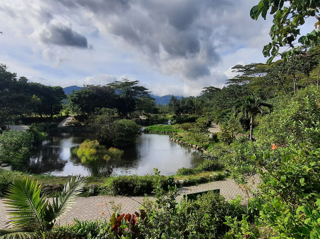 Parque Biblioteca de Boquete-波魁特必去景点