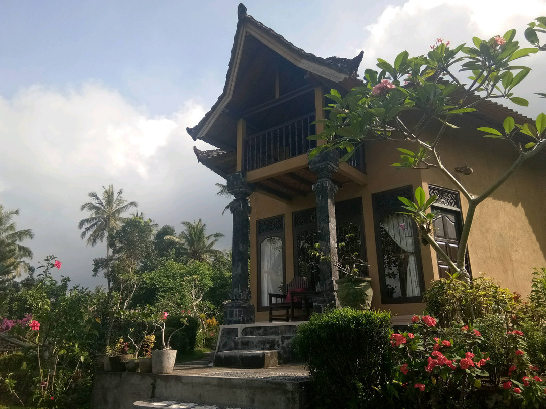 莱金风景民宿主图