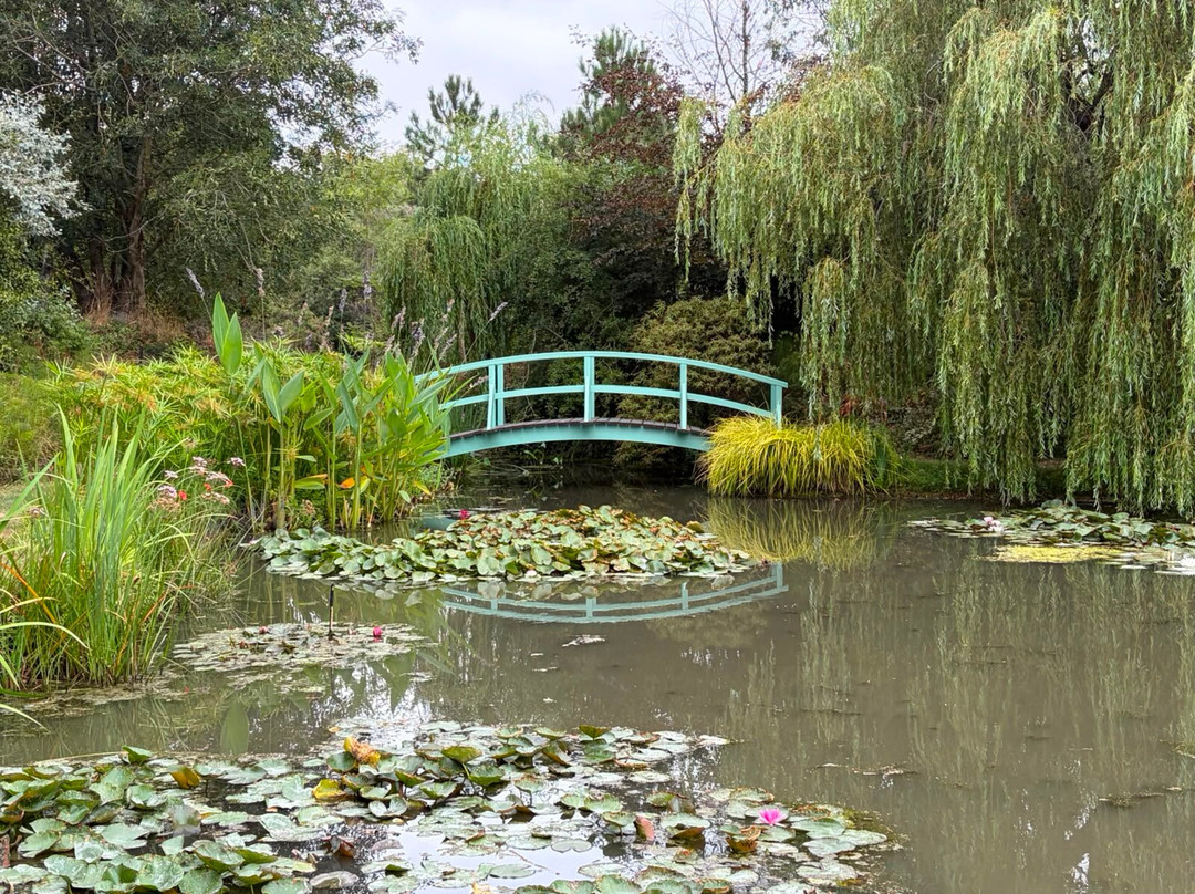 Bennetts Water Gardens-Chickerell必去景点