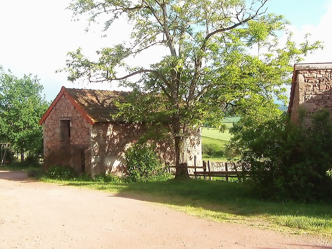 Domaine de la Foret主图
