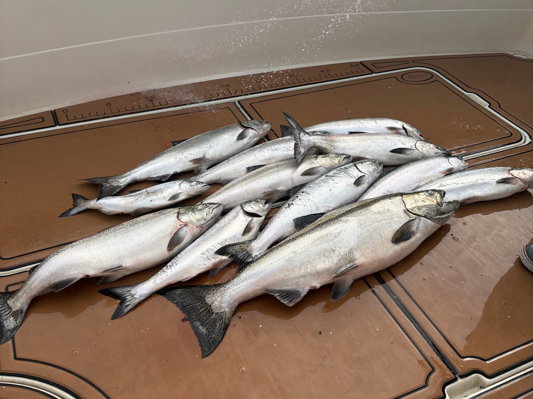 Kinn's Sport Fishing-Algoma必去景点