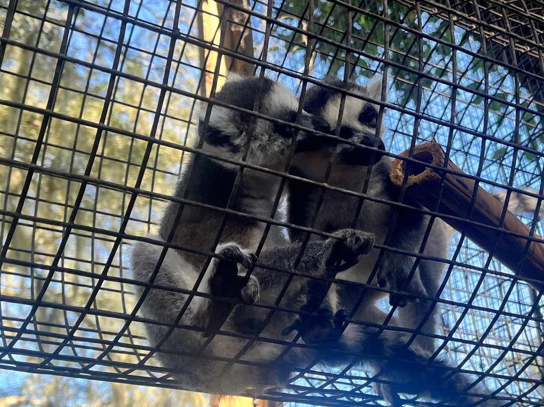 Chase Animal Rescue And Sanctuary-Webster必去景点