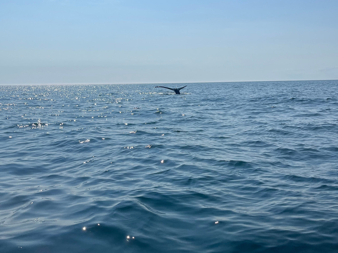 AWESOME Ocean Adventures-Freeport必去景点