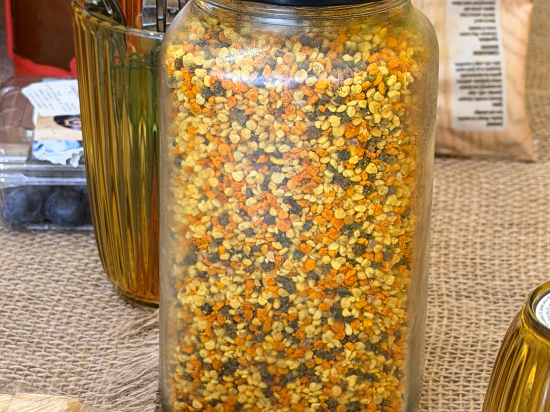 So! Bee-纳夫普利翁必去景点