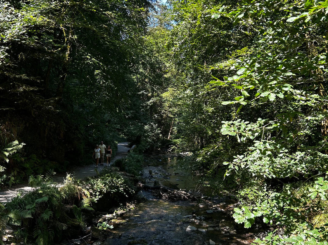 Lydford Gorge-Lydford必去景点