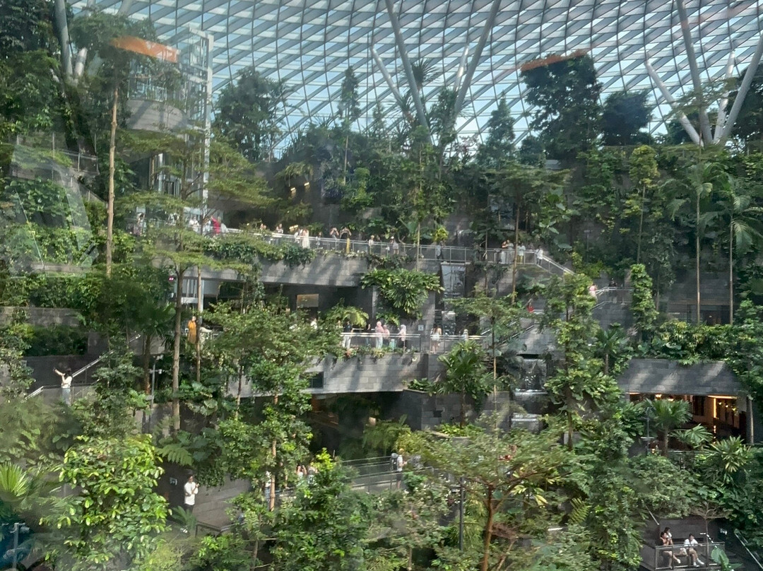 Jewel Changi Airport-新加坡必去景点
