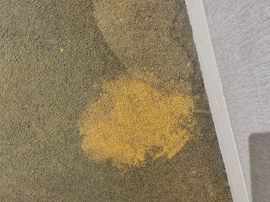 白羊毛酒店主图