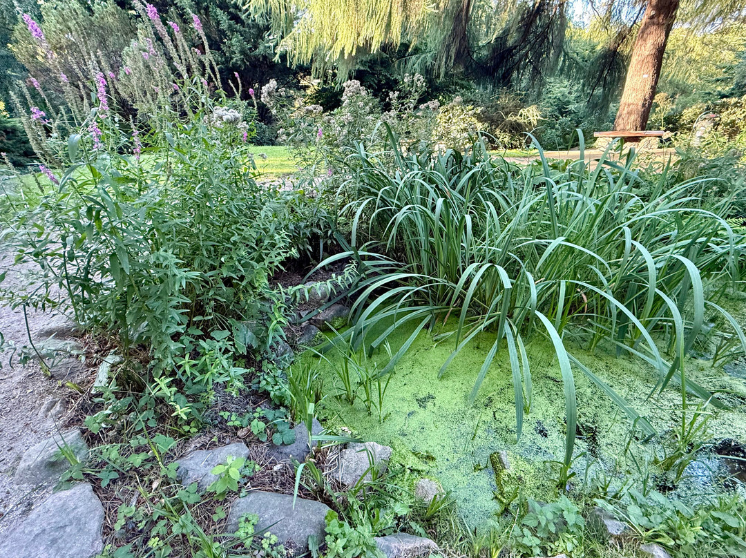 Alter Botanischer Garten-基尔必去景点