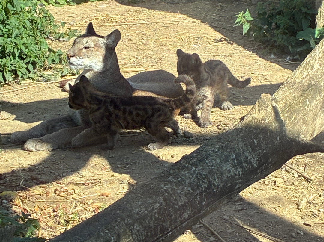 Krokodille Zoo-Eskilstrup必去景点