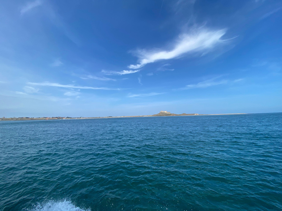 Serenity Farne Island Boat Tours-Seahouses必去景点