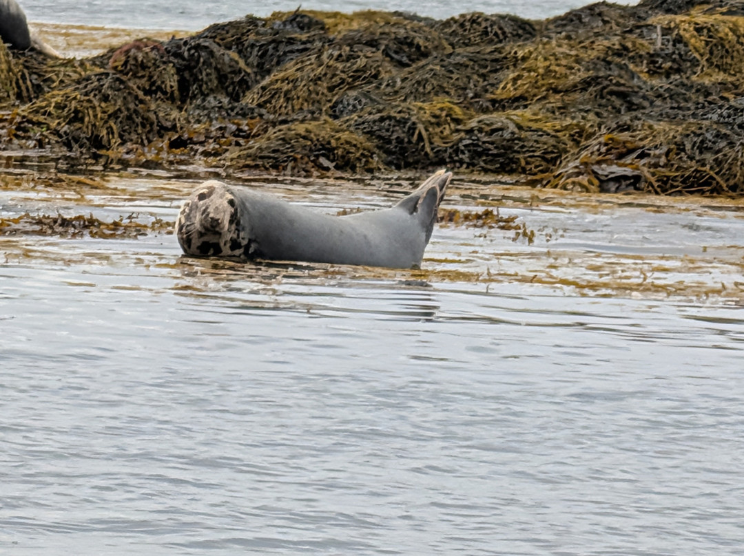 Donegal Sea Adventure-Burtonport必去景点